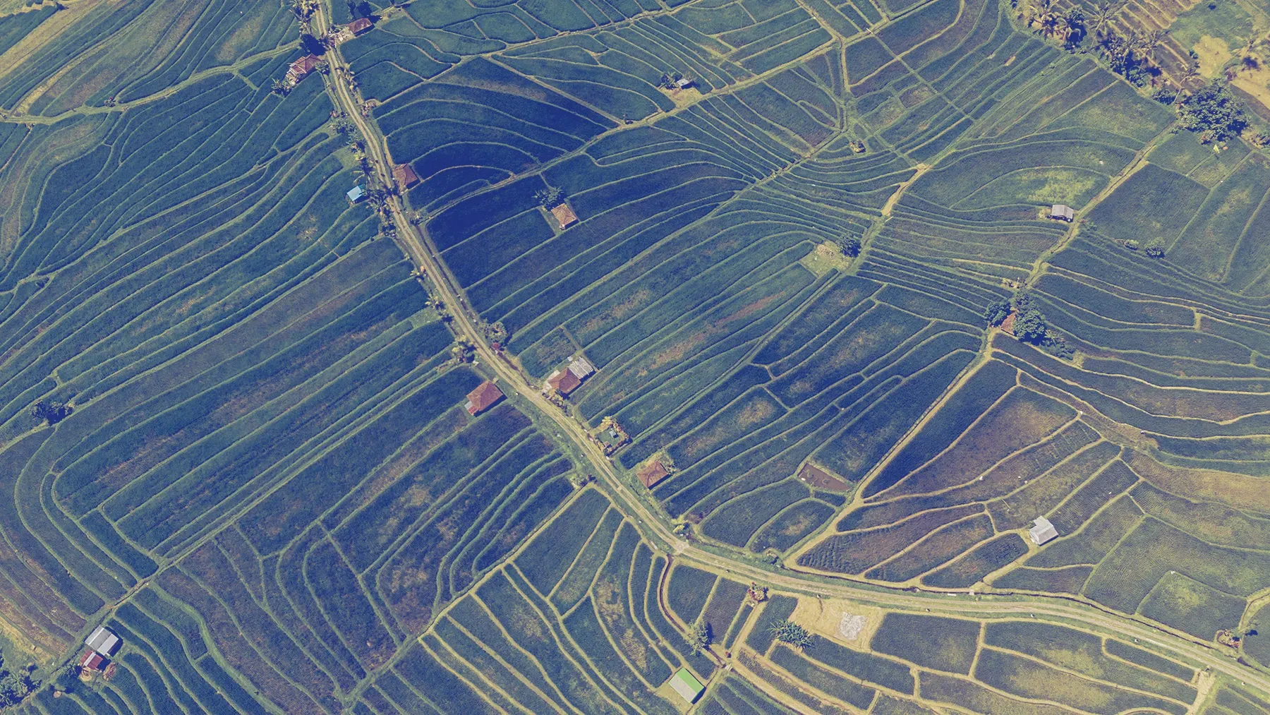 Land Act Amendment Update 2081